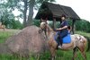 Folwark Bulin - Imię konia: Festyna