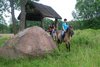 Folwark Bulin - Imię konia: Natan